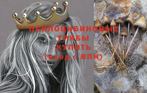 кокаин колумбия Богданович